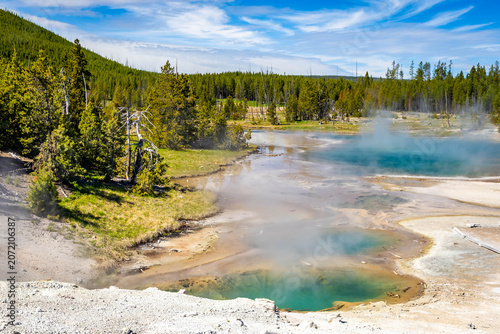 Принти на полотні Scenic hot spring at Norris Geyser Basin