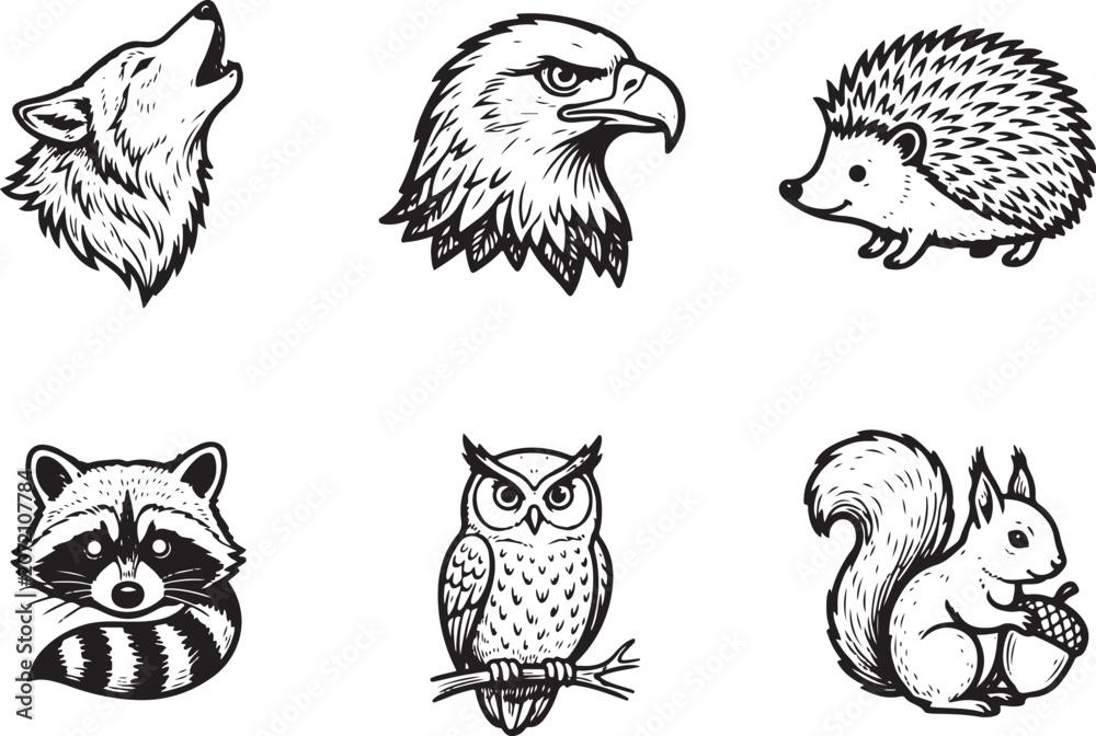 Fototapeta premium Cute Cartoon Animal Collection with Owl Cat Chicken Eagle and Bird Characters Vector Illustration Set for Children Seamless Pattern Nature and Farm Design Decoration Art Drawing Collection