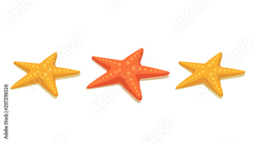 Three cute starfish marine animals isolated on white background flat vector illustration set.