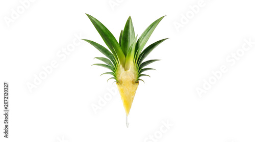 Fresh pineapple crown with green leaves, sliced tropical pineapple top, organic fruit foliage for food styling and healthy recipe design isolated PNG with Transparent Background