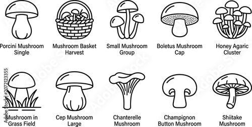 Foto Set of black and white mushroom icons representing various types including porcini, shiitake, and chanterelle