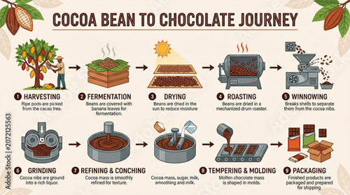 Foto Cocoa bean to chocolate process steps infographic
