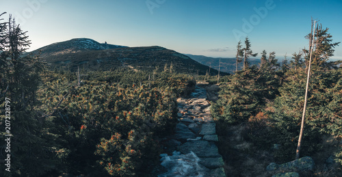 Fotografi High altitude mountain plateau with dwarf pines and hiking trails