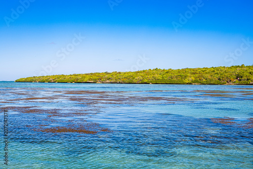 Photos L'Île aux Aigrettes dans le Parc marin de Blue Bay, Mahébourg, Ile Maurice, Océa