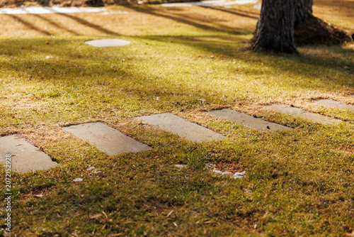 Bild auf Leinwand Rectangular stone pavers cross golden grass as long tree shadows fall, a circular utility cover sits near the top, and lingering frost dots the turf in warm light
