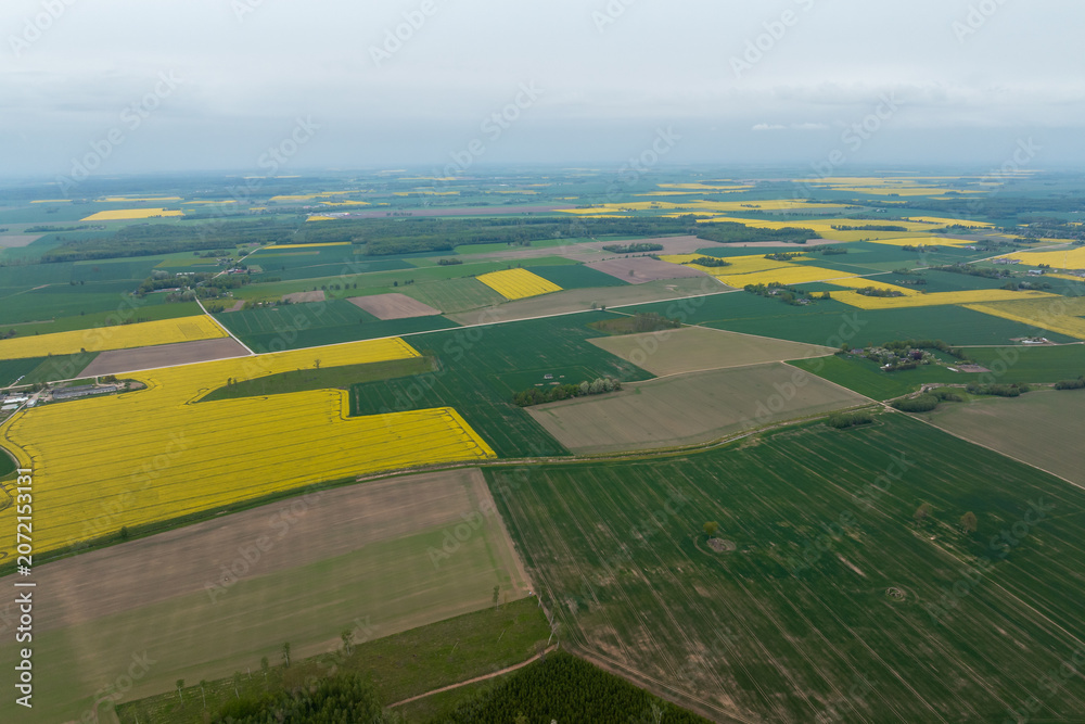 Naklejka premium Aerial view shows yellow canola rectangles with green and brown fields, straight rural roads, flat prairie terrain, hazy horizon, overcast light, late spring bloom.