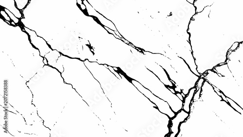 Black and White Abstract Ink Texture Background with Bold Organic Paint Shapes. Bold Black and White Liquid Ink Background with Organic Flowing Shapes.