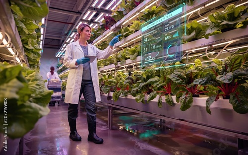 Female scientist wearing a white lab coat monitoring green plants in a modern vertical indoor farm with digital data screens and bright lights