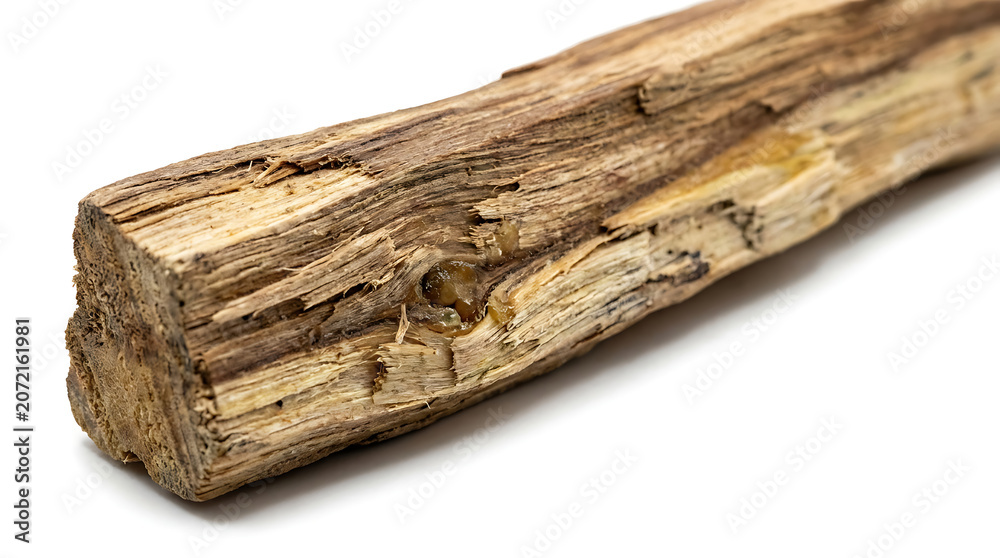 Fototapeta premium Single Rough Textured Wooden Log Piece Isolated on a Clean White Background for Design