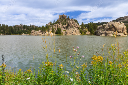 Foto Wildflowers along the Sylvan Lake shore trail at Custer State Park, South Dakota