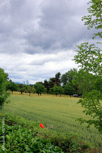 Blick von Riehen auf Basel bei Wolkenwetter