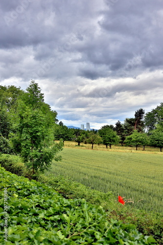 Blick von Riehen auf Basel bei Wolkenwetter