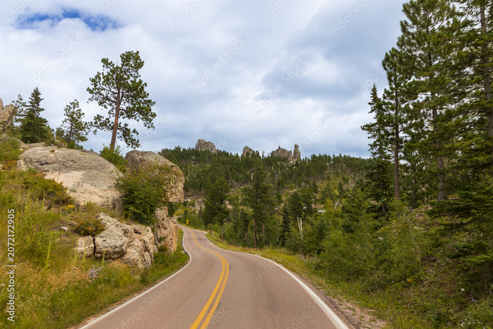 Naklejka premium Scenic Needles Highway, South Dakota