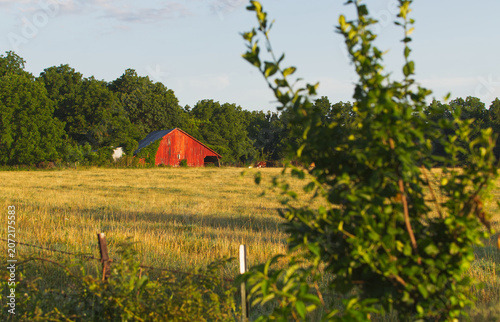 Rustic Country Scenic Landscape with Red Barn and Pasture Field