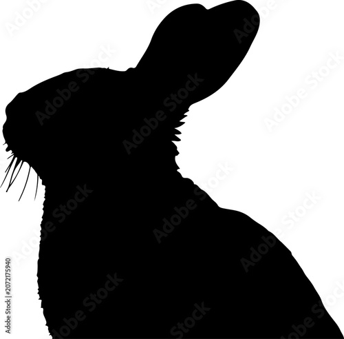 Minimalist Black Silhouette of a Cute Rabbit Head Profile Isolated on a White Background