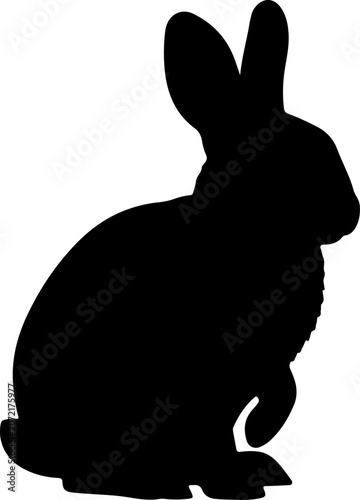 Black Rabbit Silhouette Vector Illustration Standing Hare Shadow Isolated on White Background