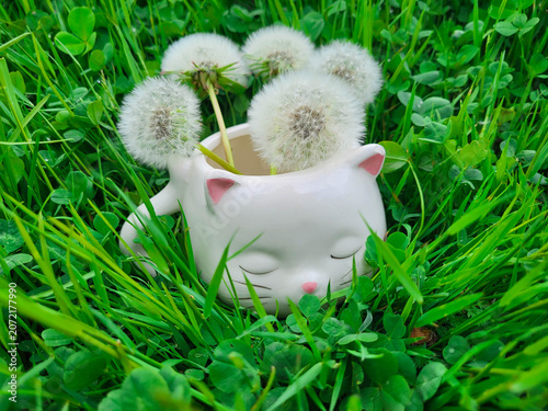 A white cup shaped like a sleeping cat's head, with a bouquet of fluffy dandelions, stands on a lawn.