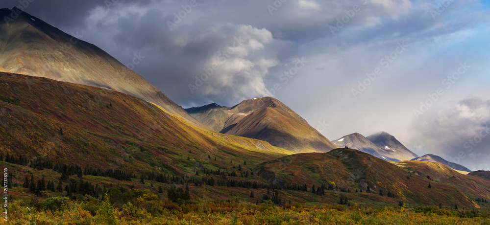 Fototapeta premium Mountains in tundra
