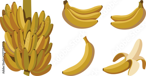 Canvastavla Yellow banana bunch and single peeled fruit vector illustration set isolated on