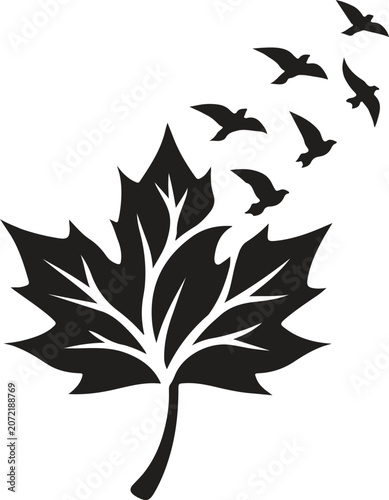 Autumn Maple Leaf with Flying Birds Silhouette Vector for Fall Nature Design