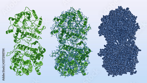 Canvas Print Klotho protein molecule, enzyme, alpha klotho monomer structure, anti aging long