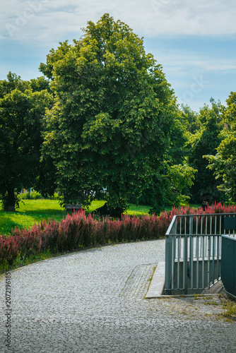 Lush urban park with cobblestone path, pink flowers and metal railing