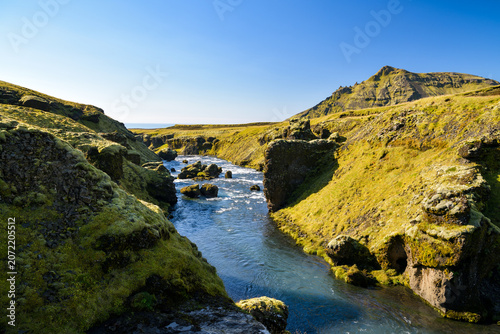 Photography Clear river winding through a mossy green canyon