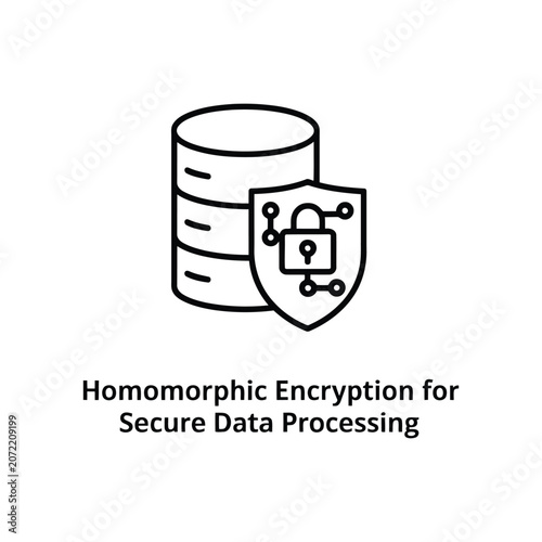Homomorphic encryption data security on a white background