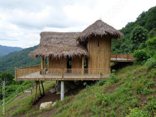 Rustic wooden cabin with thatched roof in a lush mountain landscape