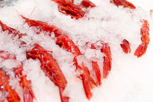 Tableau sur toile Carabinero shrimps on ice at local market