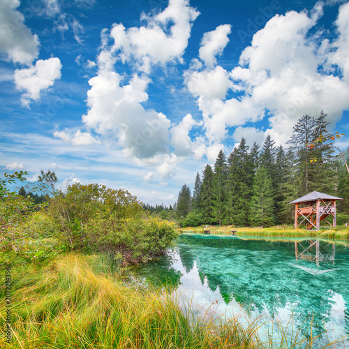 Gorgeous summer view on Zelenci lake with beautiful reflections in water.