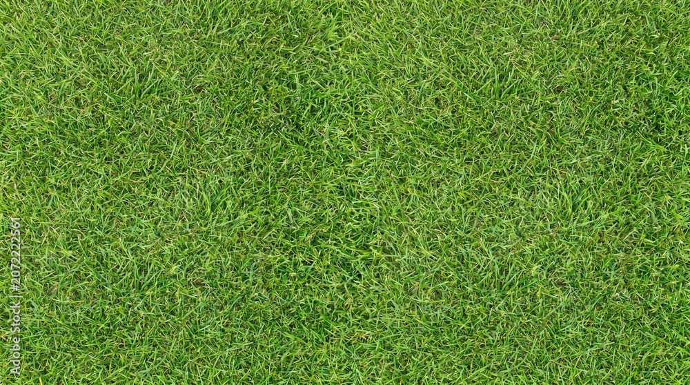 Fototapeta premium Vibrant Green Grass Texture for Garden Lawn Background