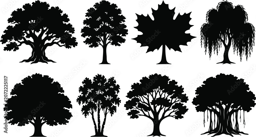 Fototapeta premium Diverse Deciduous and Ornamental Tree Silhouettes Collection Isolated on White