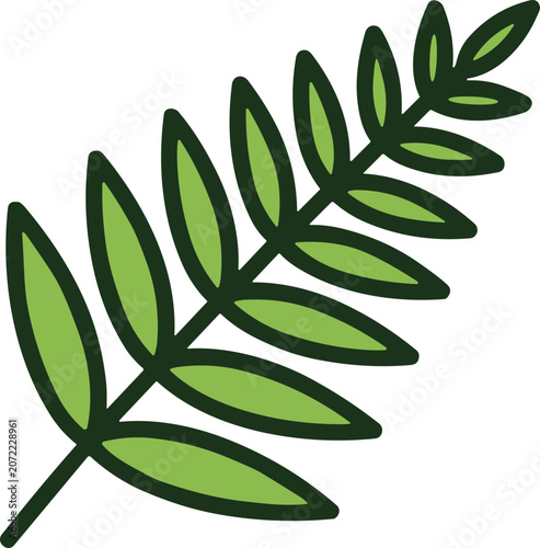 Fotografie Green fern frond with delicate leaves, isolated on white background, botanical i
