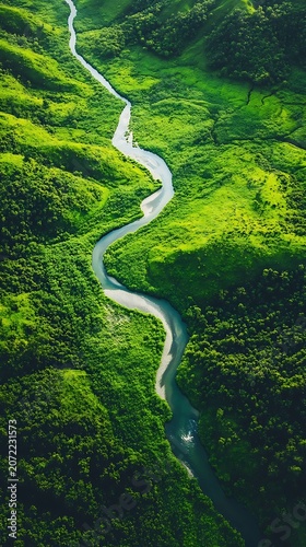 Aerial view of a winding river through lush green forest landscape