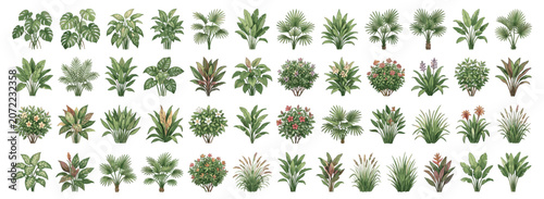 Foto Watercolor bush and shrub collection with hand drawn tropical plants in side vie