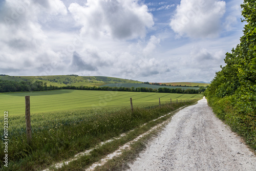 A view along a pathway in the South Downs near Firle