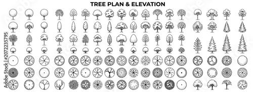 Принти на полотні Architectural tree vector set in elevation and plan view with landscape vegetati