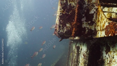 Small Fish Swimming Around Shallow Sunken Tugboat Wreck Underwater