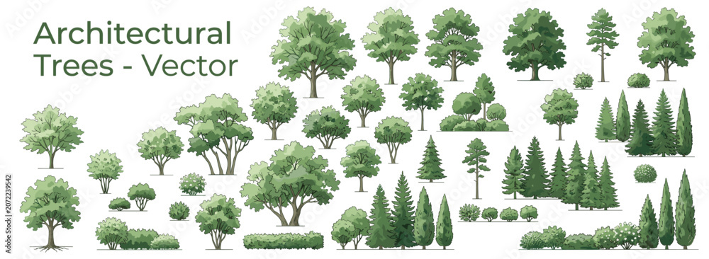 Fototapeta premium Watercolor green tree and forest side view isolated on white background for landscape architecture, garden planning, environmental design and botanical vector illustration