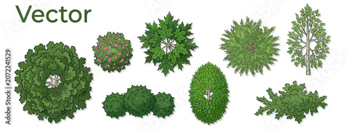 Bild auf Leinwand overhead green trees and shrubs collection for landscape architecture, urban pla