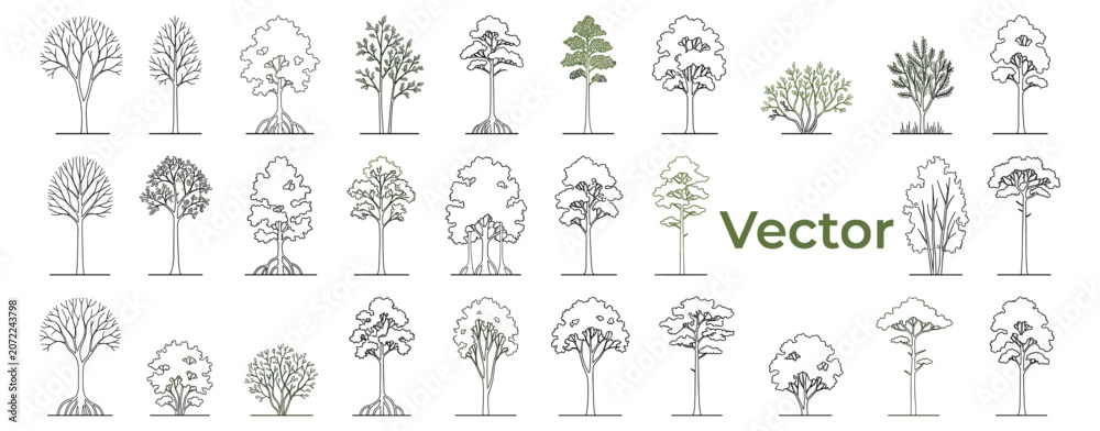 Fototapeta premium Minimal CAD tree and wetland forest drawing set with side view plants, bushes and tropical vegetation for architectural sections and landscape design vector illustration
