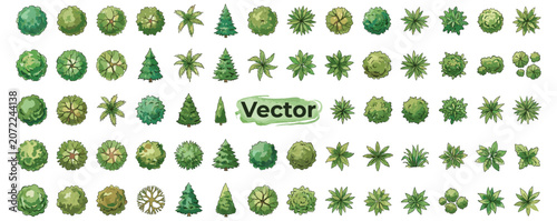 Fotografía Aerial tree canopy symbols in watercolor style for landscape plans, architectura