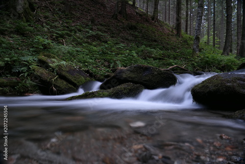 Wildwasserpfad Mariensee in Mariensee, Wechselland, Niederösterreich 