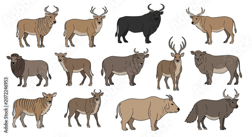 Vector illustration set of diverse horned wild animals, featuring various deer, antelopes, and bovines. Isolated mammal collection.