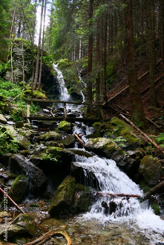 Wildes Wasser am Wildwasserpfad in Mariensee, Wechselland, Niederösterreich 