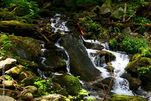 Wasserlauf, Wildes Wasser, Wildwasserpfad in Mariensee, Bucklige Welt, Niederösterreich 