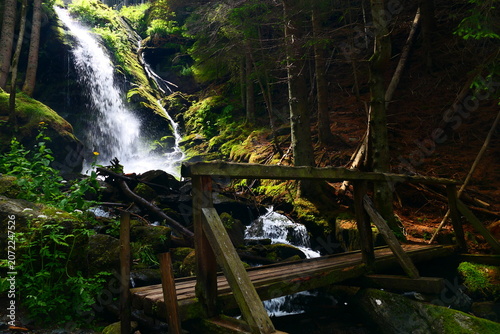 Steg am Wasserfall, Wildwasserpfad, Mariensee, Wechselland, Niederösterreich 