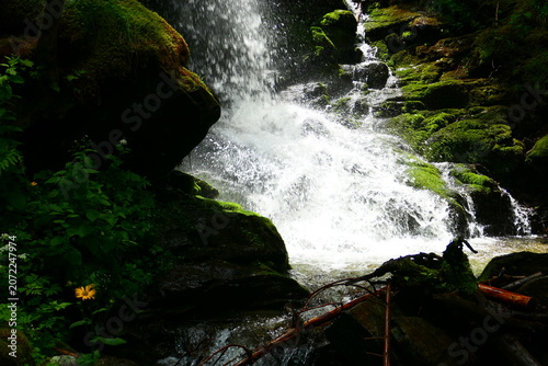 tosendes Wasser, Wildwasserpfad in Mariensee, Wechselland, Niederösterreich 