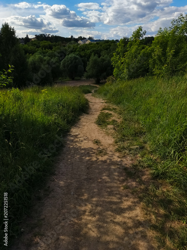 Foot path in the forest down from the mountain under blue sky among green grass. Way, travel exploration concept